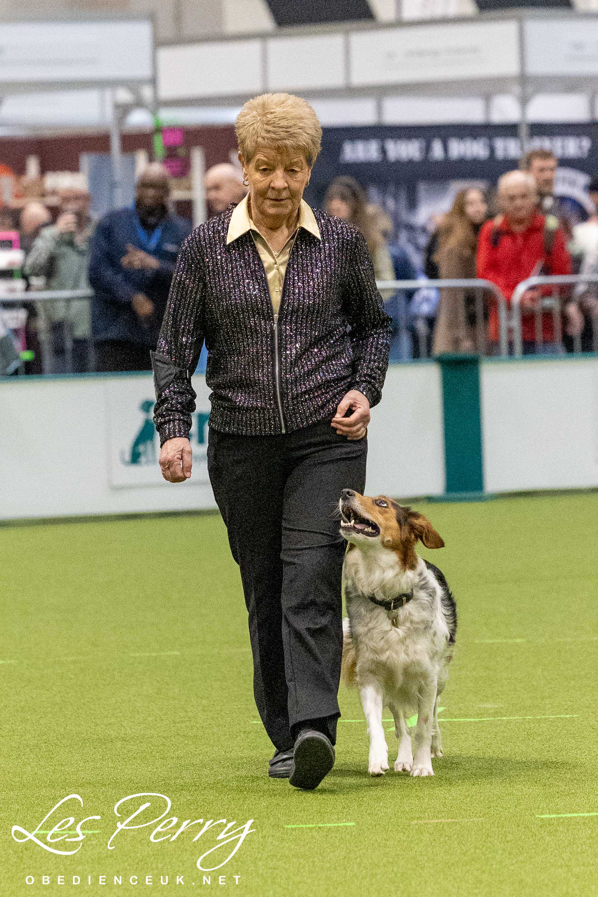 Z26AK-65