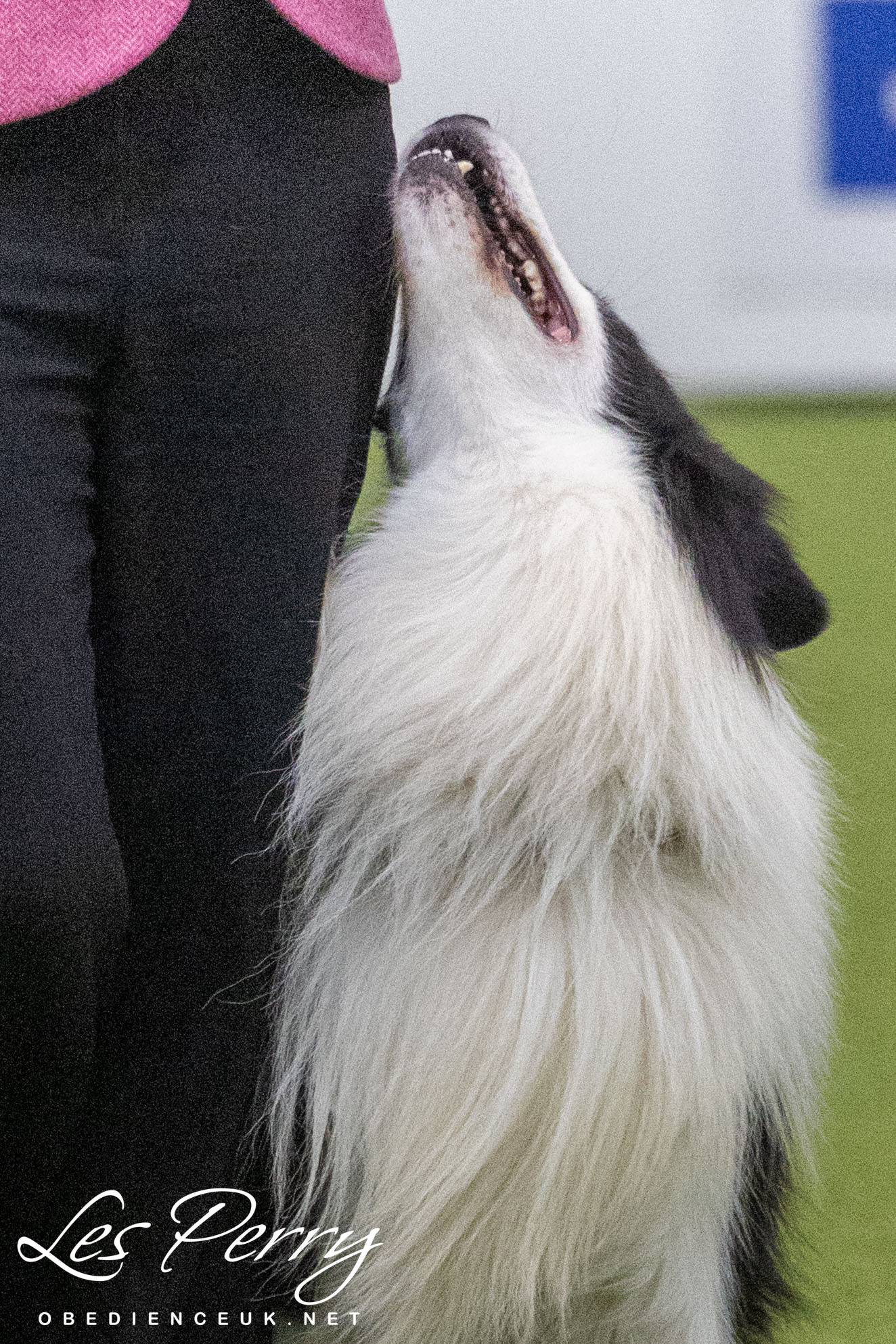 z25AH092