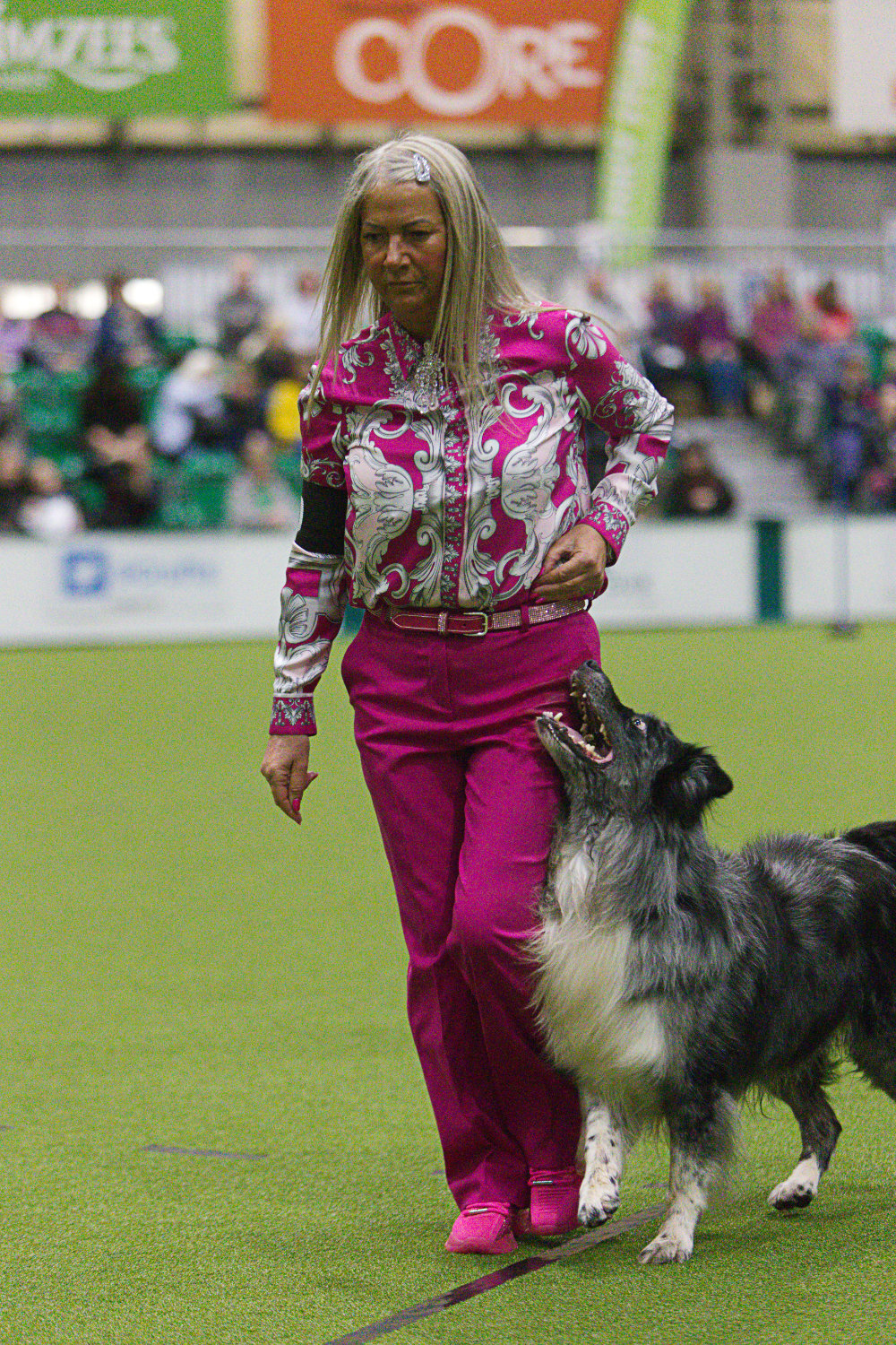 z23AR386