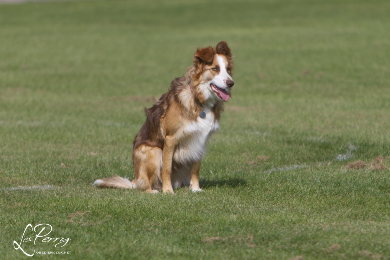 z23CU070