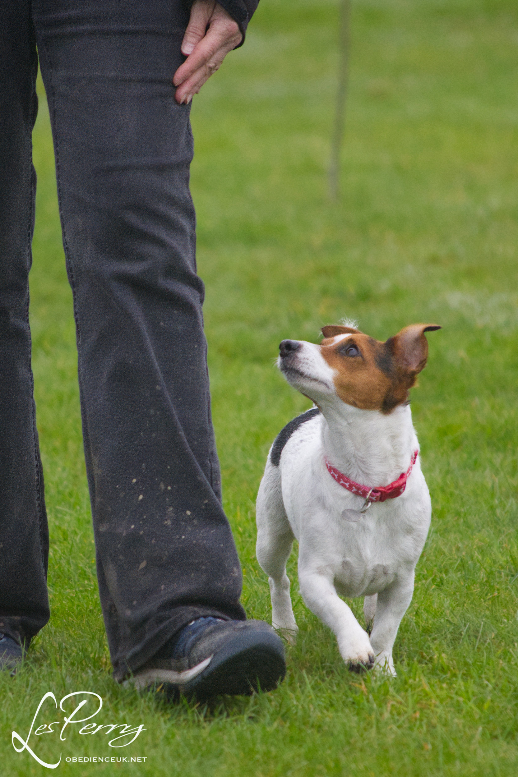 z23DN056