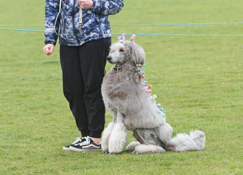 z22BF028