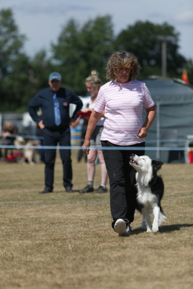z22CR123