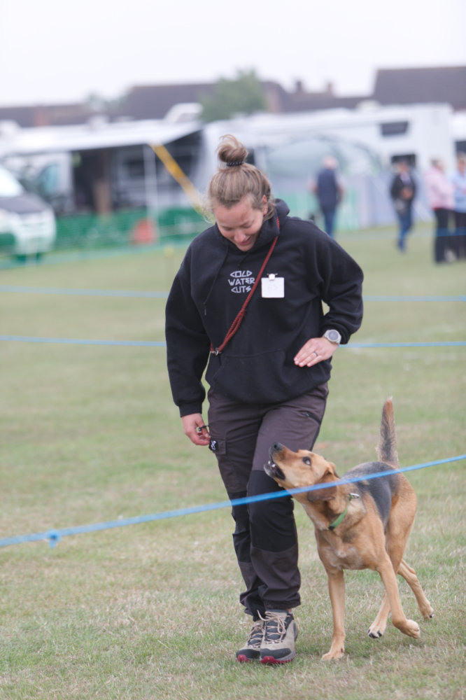z22CY028