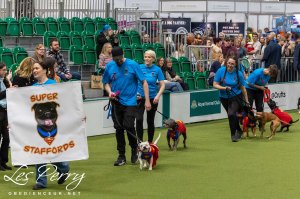 Crufts Obreedience Final