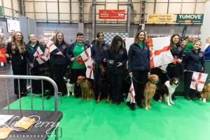 Crufts Inter Regional Obedience