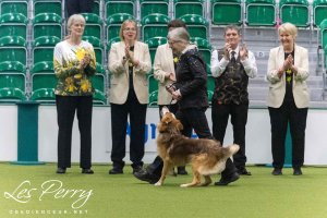 Crufts Bitch Championship Parade
