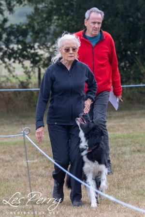 Solihull Open Show