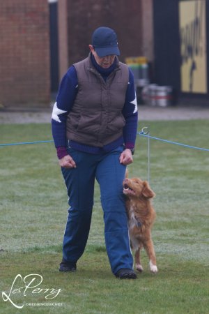 z24AC084