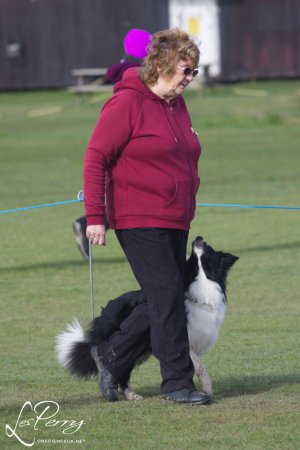 z24AC199