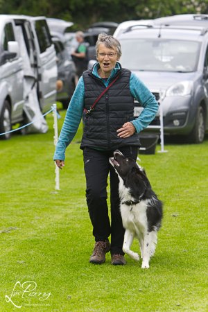z24BA101