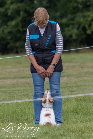 z24BV102