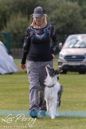 z24BY186