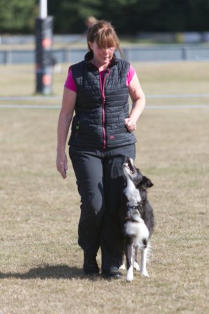 Hatchford Brook Championship Show
