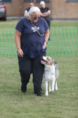 Cheltenham Championship Show