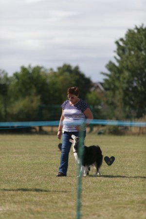 z22CX163